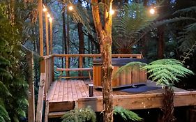 The Divvy Hut Raglan Retreat